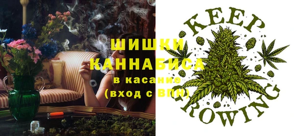 мдпв Балабаново